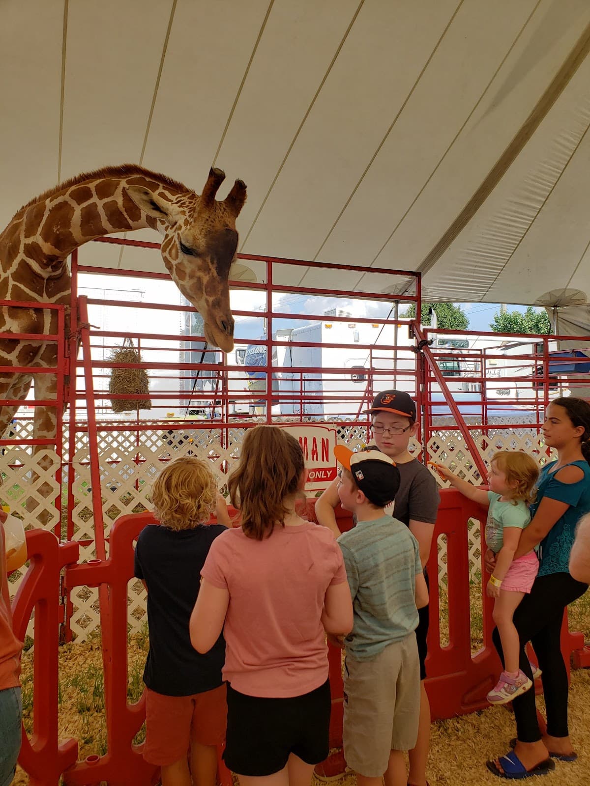 Delaware State Fair