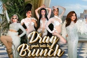 Drag Brunch at Hamburger Mary's