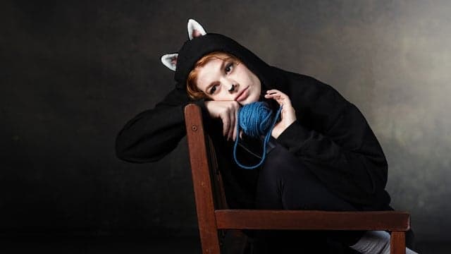 Indoor Cats (CBT)
